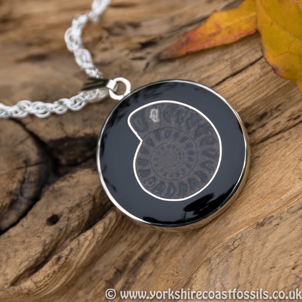 jpai 169 Whitby Jet & Ammonite Inlay - Whitby Jet Pendants Ammonite Inlay