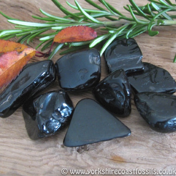 Whitby Jet Pieces jsp316 - Whitby Jet For Sale