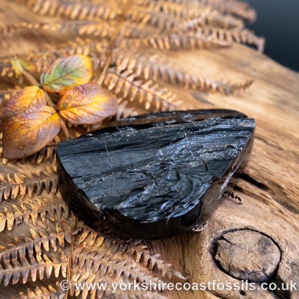 Whitby Jet jsp666 - Whitby Jet For Sale