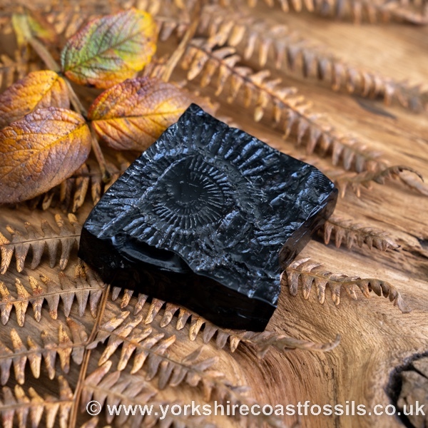 Sold Whitby Jet jsp697 - Whitby Jet For Sale