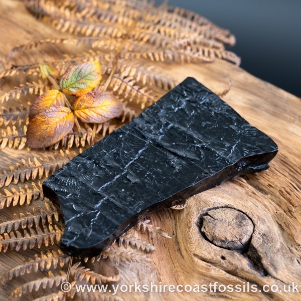 Whitby Jet jsp671 - Whitby Jet For Sale