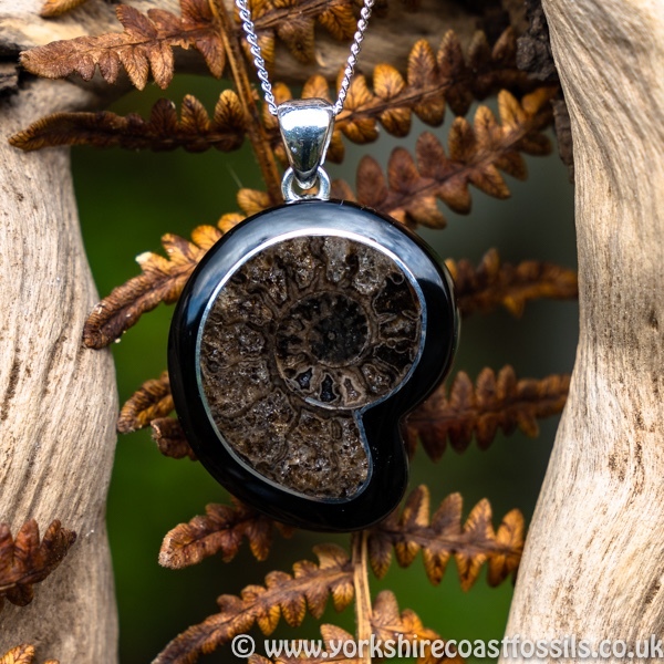 Sold jpai 176 Whitby Jet & Ammonite Inlay - Whitby Jet Pendants Ammonite Inlay