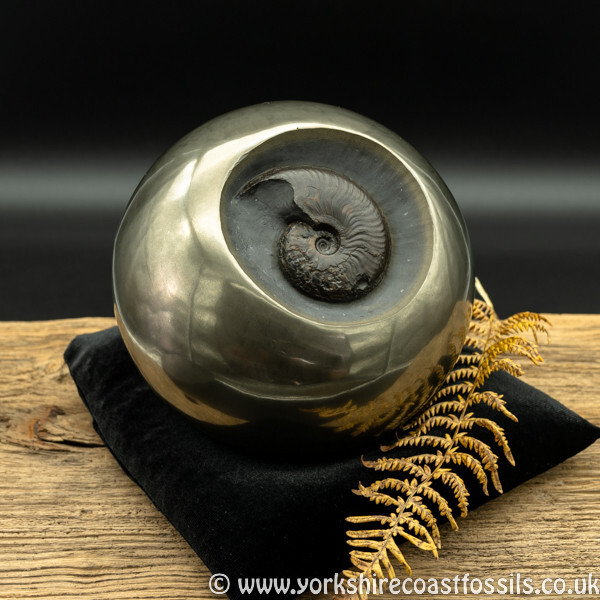 Sold cb228 polished pyrite cannonball - Polished Pyrite Cannon Balls