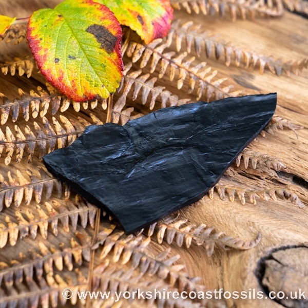 Whitby Jet jsp661 - Whitby Jet For Sale