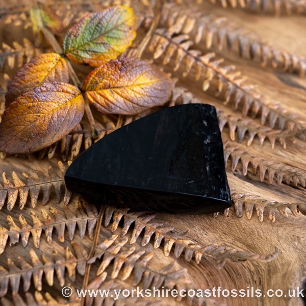 Sold Whitby Jet jsp687 - Whitby Jet For Sale