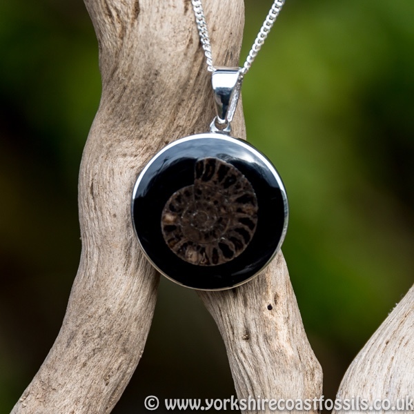 jpai171 Whitby Jet & Ammonite Inlay - Whitby Jet Pendants Ammonite Inlay