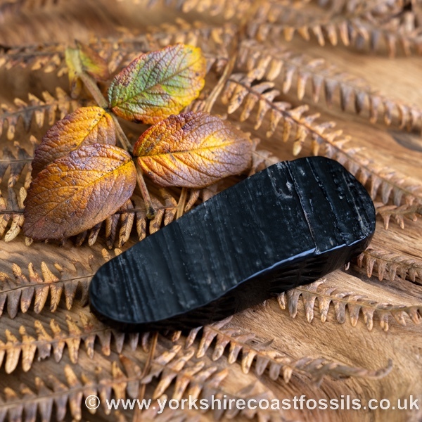 Sold Whitby Jet jsp688 - Whitby Jet For Sale
