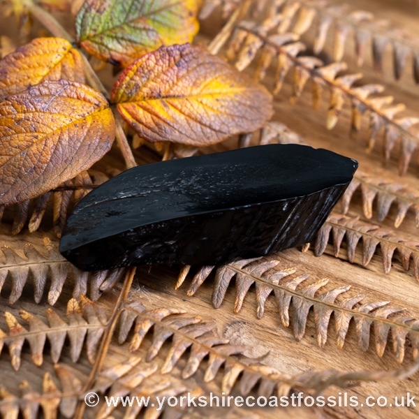 Sold Whitby Jet jsp708 - Whitby Jet For Sale