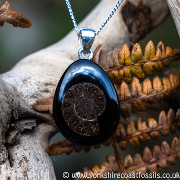 jpai 188 Whitby Jet & Ammonite Inlay - Whitby Jet Pendants Ammonite Inlay