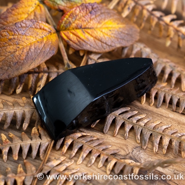 Sold Whitby Jet jsp716 - Whitby Jet For Sale