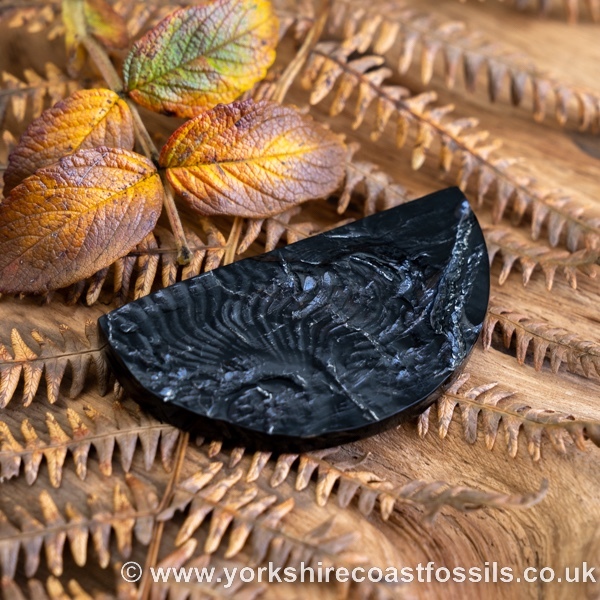Sold Whitby Jet jsp696 - Whitby Jet For Sale