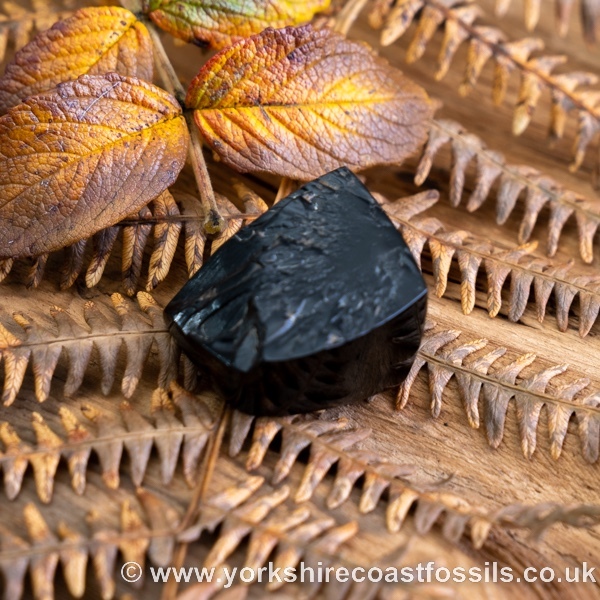 Sold Whitby Jet jsp703 - Whitby Jet For Sale