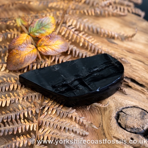 Whitby Jet jsp672 - Whitby Jet For Sale