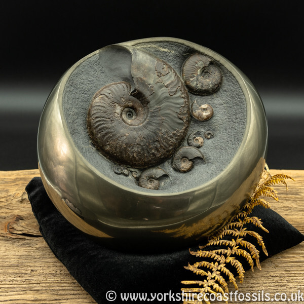 cb227 polished pyrite cannonball - Polished Pyrite Cannon Balls