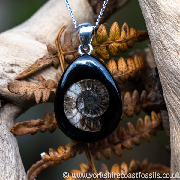 Sold jpai Whitby Jet & Ammonite Inlay - Whitby Jet Pendants Ammonite Inlay