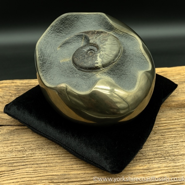 Sold cb235 polished pyrite cannonball - Polished Pyrite Cannon Balls