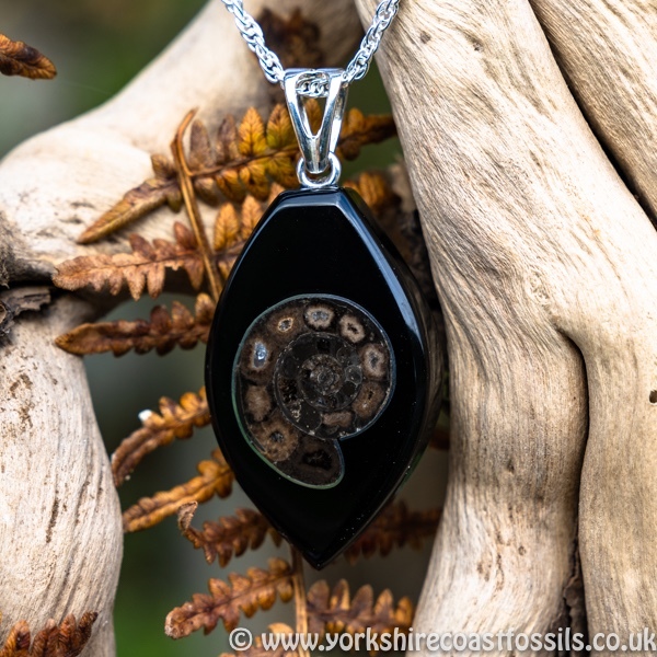 Sold jpai 179 Whitby Jet & Ammonite Inlay - Whitby Jet Pendants Ammonite Inlay