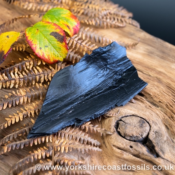 Whitby Jet jsp655 - Whitby Jet For Sale