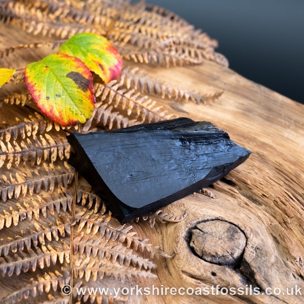 Sold Whitby Jet jsp658 - Whitby Jet For Sale