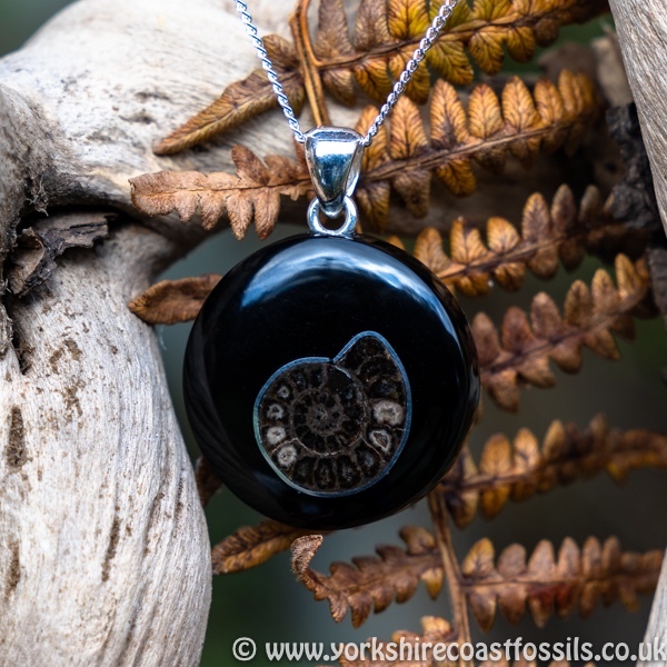 Sold jpai 185 Whitby Jet & Ammonite Inlay - Whitby Jet Pendants Ammonite Inlay