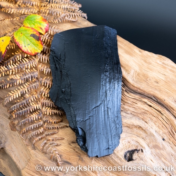 Whitby Jet sp 652 - Whitby Jet For Sale