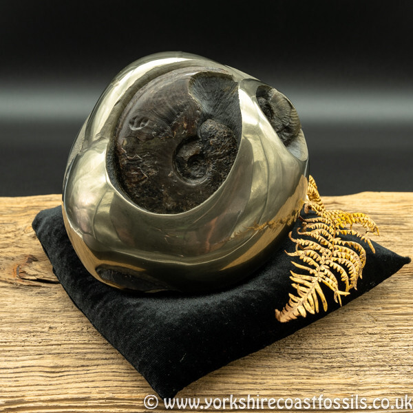 cb229 polished pyrite cannonball - Polished Pyrite Cannon Balls