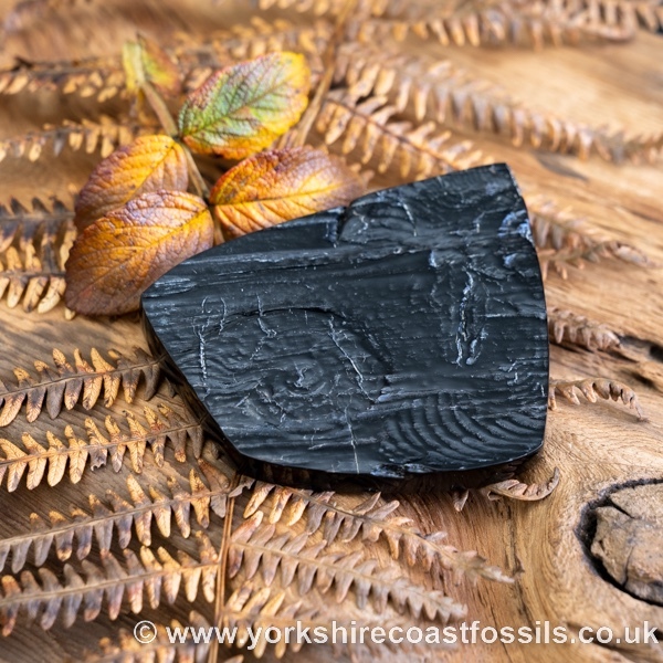 Sold Whitby Jet jsp669 - Whitby Jet For Sale