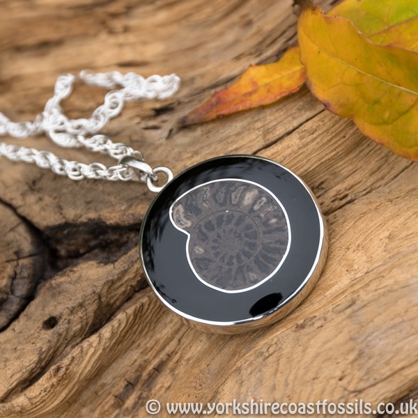 jpai 166 Whitby Jet & Ammonite Inlay - Whitby Jet Pendants Ammonite Inlay