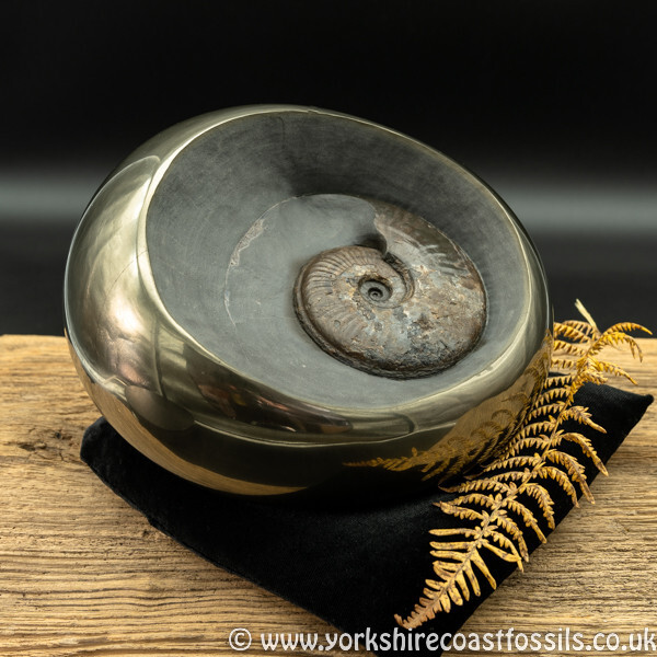 cb234 polished pyrite cannonball - Polished Pyrite Cannon Balls