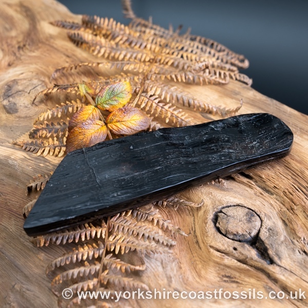 Whitby Jet jsp676 - Whitby Jet For Sale