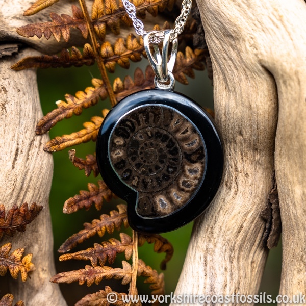 Sold jpai 174 Whitby Jet & Ammonite Inlay - Whitby Jet Pendants Ammonite Inlay