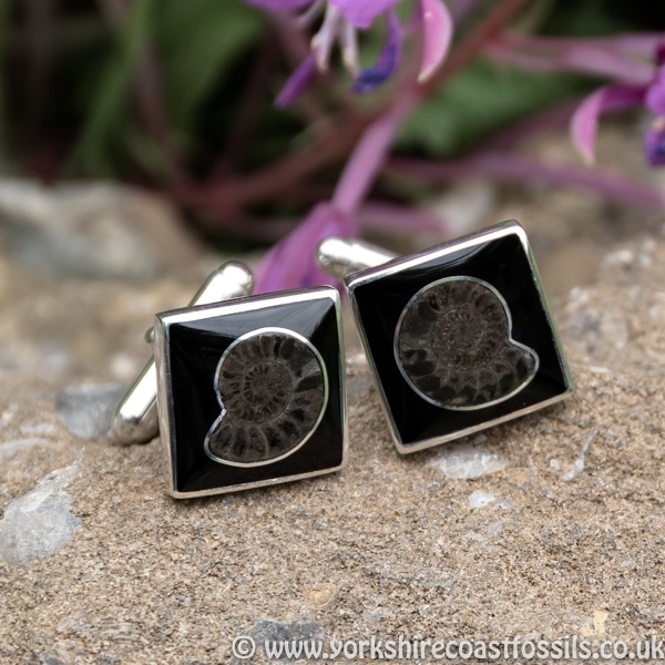 Sold jcai 54 Whitby Jet Cufflinks & Ammonite Inlay - Whitby Jet Cufflinks Ammonite Inlay