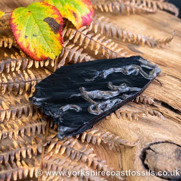 Sold Whitby Jet jsp664 - Whitby Jet For Sale