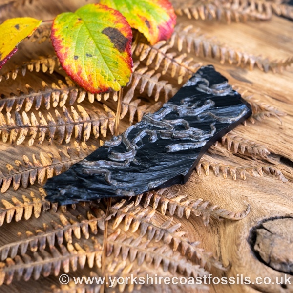 Sold Whitby Jet jsp663 - Whitby Jet For Sale