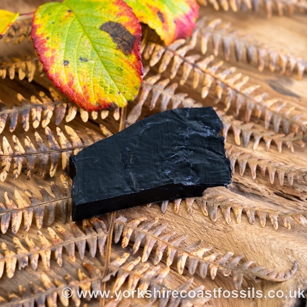 Sold Whitby Jet jsp662 - Whitby Jet For Sale