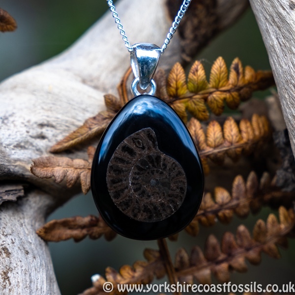 jpai 187 Whitby Jet & Ammonite Inlay - Whitby Jet Pendants Ammonite Inlay