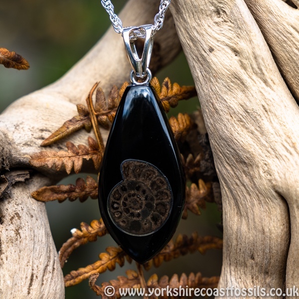 Sold jpai 182 Whitby Jet & Ammonite Inlay - Whitby Jet Pendants Ammonite Inlay
