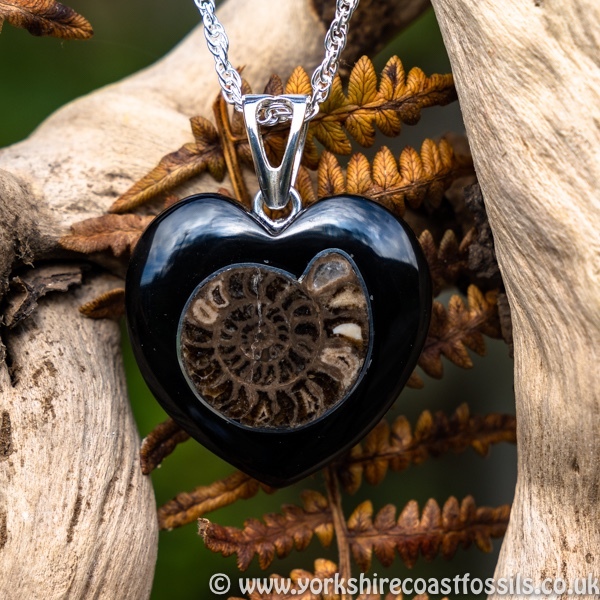 Sold jpai 178 Whitby Jet & Ammonite Inlay - Whitby Jet Pendants Ammonite Inlay
