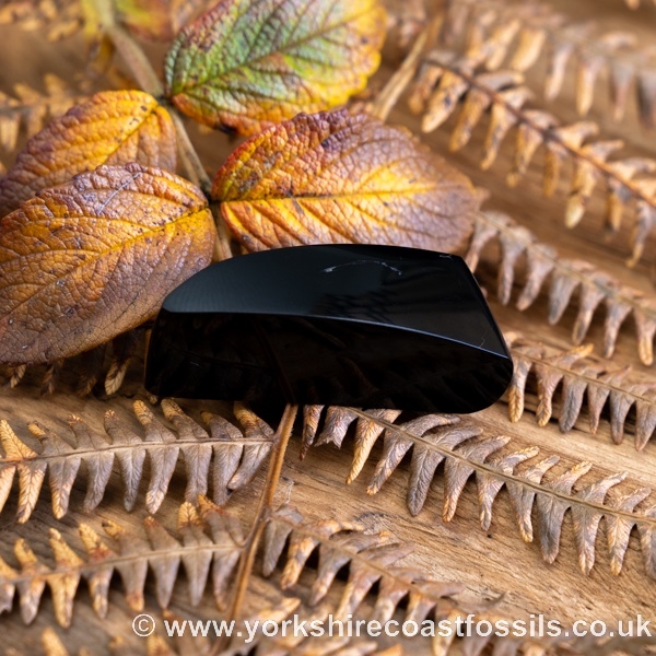 Sold Whitby Jet jsp701 - Whitby Jet For Sale