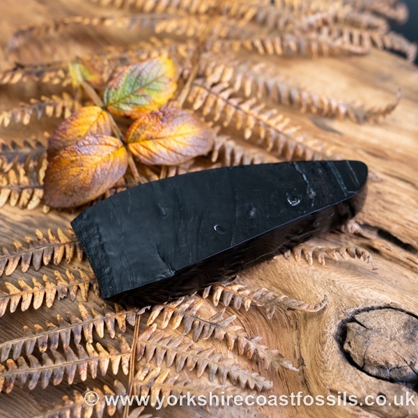 Whitby Jet jsp670 - Whitby Jet For Sale