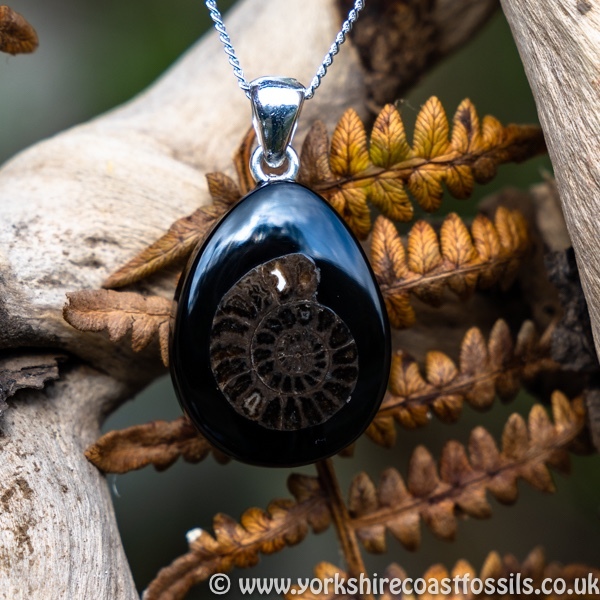 Sold jpai 189 Whitby Jet & Ammonite Inlay - Whitby Jet Pendants Ammonite Inlay