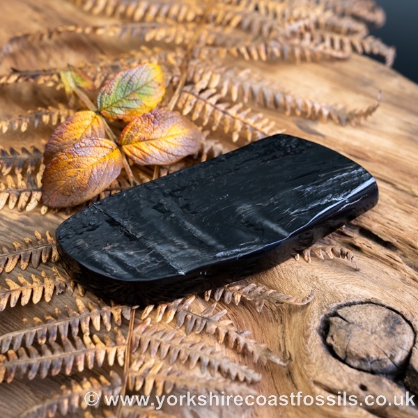 Whitby Jet jsp668 - Whitby Jet For Sale