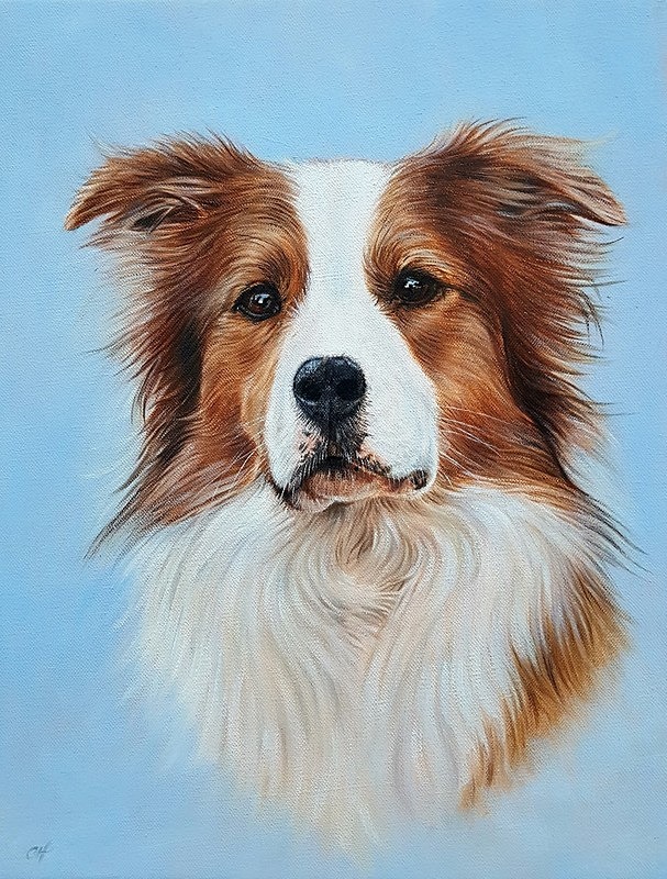TEAL - Canine Art