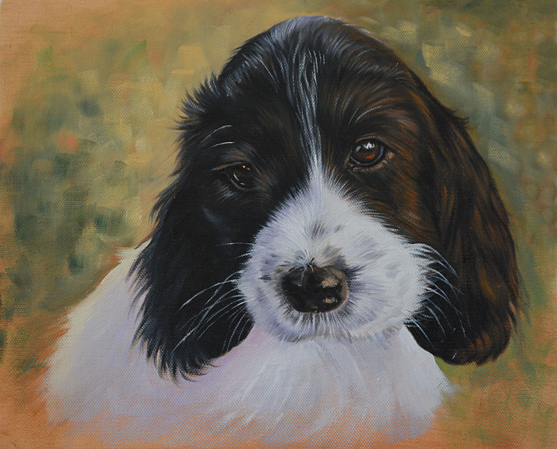 Tilly - Canine Art