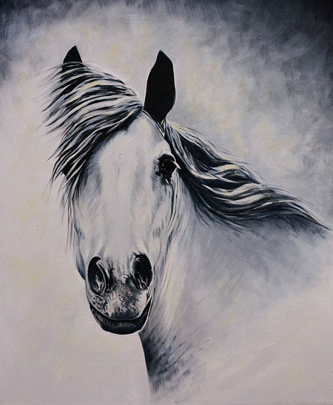 Connemara King - Equestrian Art