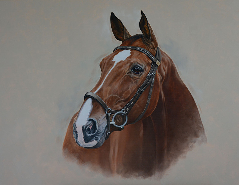Curiosity - Equestrian Art