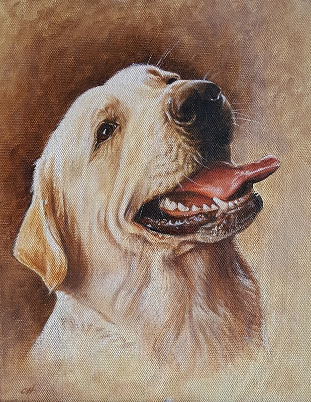 Rex - Canine Art