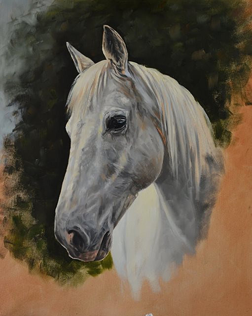 Jasper - Equestrian Art