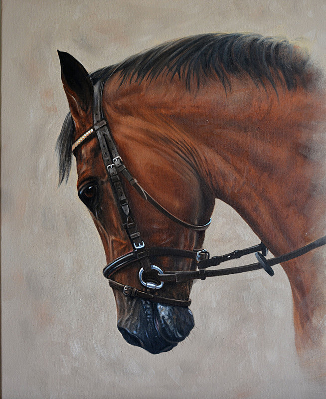 Apache - Equestrian Art