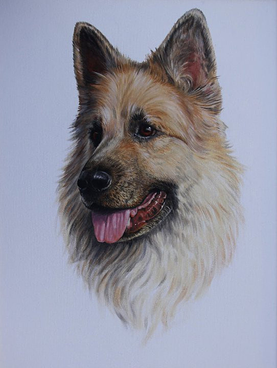 Alfie - Canine Art